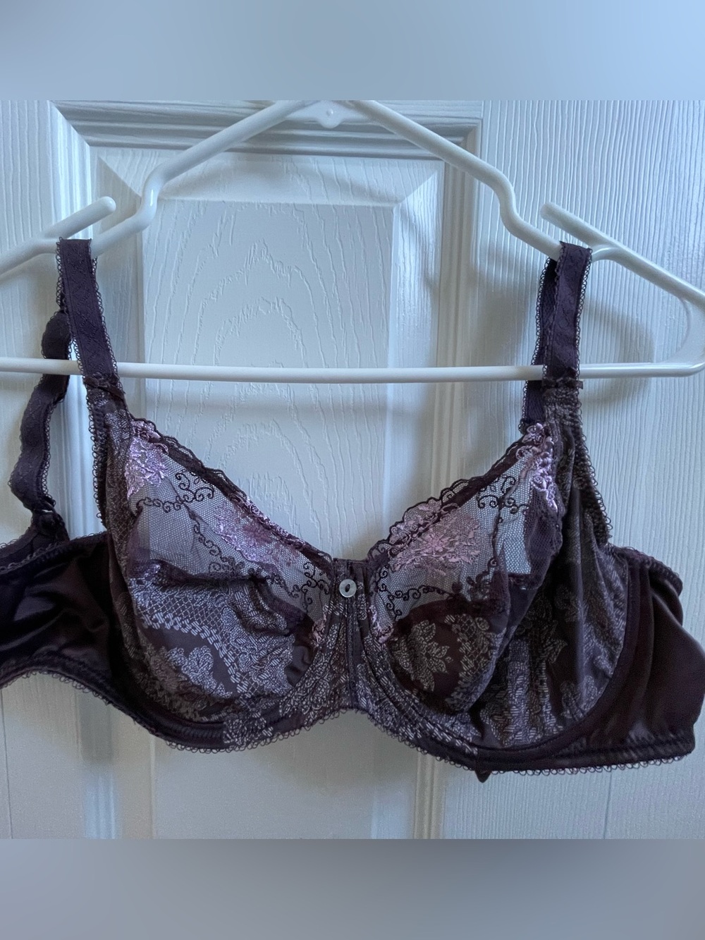 Sheer Lace Underwire Bra in Deep Plum - Women Intimates